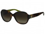 Coach HC8022B Cameron 5031/13 Tortoise Sunglasses