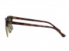 Ray Ban 3016 Clubmaster W0366 Tortoise/Arista Sunglasses