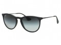 Ray Ban RB4171 Erika 622/8G Black Sunglasses