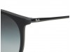Ray Ban RB4171 Erika 622/8G Black Sunglasses