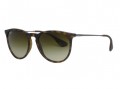 Ray Ban RB4171 Erika 865/13 Havana Sunglasses
