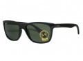 Ray Ban RB4181 601 Black Sunglasses