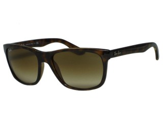 Ray Ban RB4181 710/51 Light Havana Sunglasses