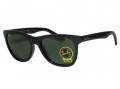 Ray Ban RB4184 601 Black Sunglasses