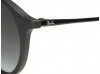 Ray Ban RB4243 622/8G Rubber Black Sunglasses