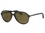 Tods TO0095 95 52J Dark Havana Sunglasses