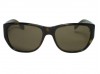 Tory Burch TY7012 Tortoise 510/73 Plastic Sunglasses