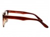Trend 5010 Brown Made in Korea Quality Eyeglasses Wayfarer Style